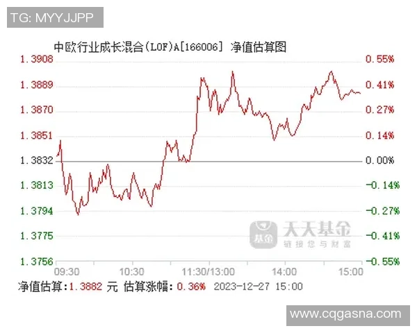 罗凯文的成长之路：从普通少年到行业领军人物的蜕变与奋斗历程